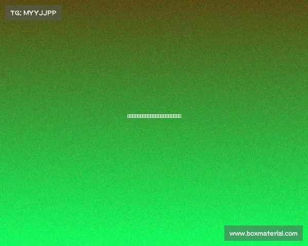 拳击赛事百科全书全面解析各类比赛种类与特点